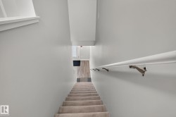 Carpeted staircase with light gray walls, a white handrail with brass-finish brackets, and a wood-finish flooring area at the bottom - 