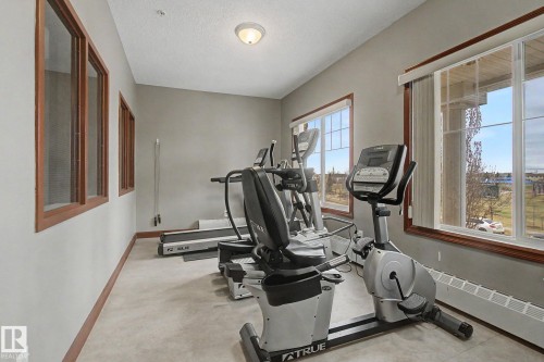 Dedicated fitness room featuring multiple large windows with wood-finish trim, a flush-mount ceiling light fixture, and a durable flooring surface - 415 263 Macewan Road, Edmonton, AB 