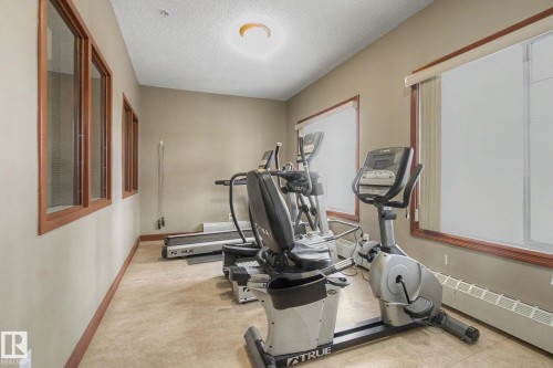 Dedicated fitness space featuring neutral wall tones, carpet flooring, and multiple windows with wood-finish trim - 415 263 Macewan Road, Edmonton, AB 