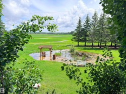 Expansive backyard featuring a natural pond, a wooden pergola, and mature evergreen trees - 