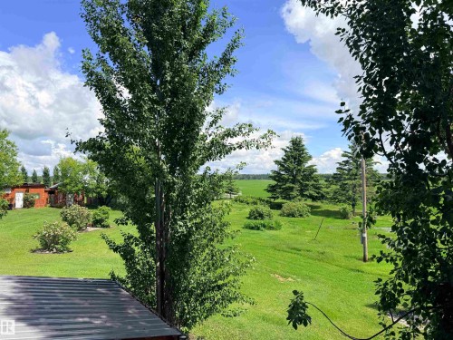 Expansive green landscape with mature trees and maintained shrubbery - 26418 Twp Rd 633, Rural Westlock County, AB 
