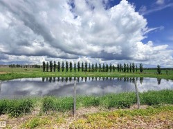 Natural body of water reflecting the sky, bordered by a line of mature trees - 