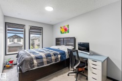Carpeted room featuring two windows with dark trim and roller blinds, a flush-mount ceiling light, and light gray wall paint - 