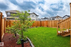 Expansive backyard featuring a manicured lawn, a full-height wooden privacy fence, a wooden deck with stairs, a planted tree, and a mulched garden bed with decorative edging - 