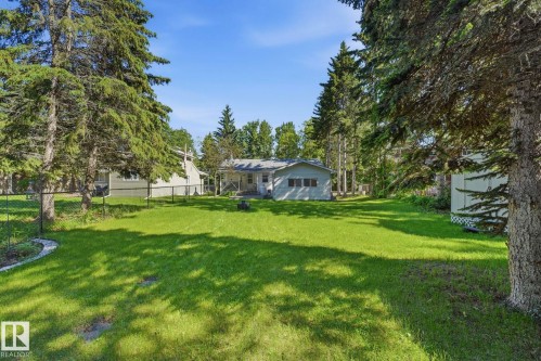 Expansive green lawn surrounded by mature evergreen trees - 1410 47436 Range Rd. 15, Rural Leduc County, AB 