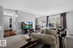 Living area featuring light gray walls and plush carpeting - 