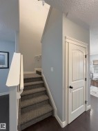 Staircase with carpeted treads and white handrail - 