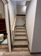 Carpeted staircase featuring wood-finish risers and handrails, complemented by wood-finish flooring at the base - 