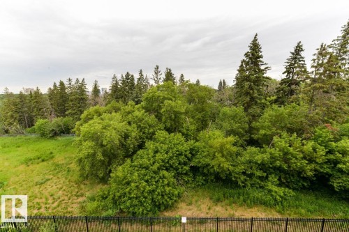 302 9316 82 Avenue, Edmonton, AB 