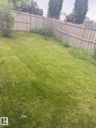 Expansive green lawn framed by a privacy fence, featuring existing shrubbery and a young tree - 1743 Melrose Crescent Sw, Edmonton, AB 