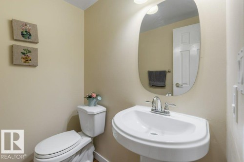 Pedestal sink with chrome fixtures and an organic-shaped wall mirror - 18609 54 Avenue, Edmonton, AB 