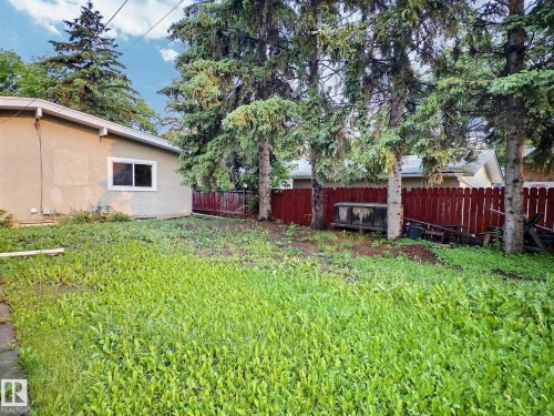 Expansive backyard featuring mature evergreen trees, a red privacy fence, and a neutral-toned stucco exterior - 79 Grosvenor Boulevard, St. Albert, AB 