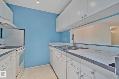 #318 17109 67 Av Nw, Edmonton, AB - Indoor Photo Showing Kitchen With Double Sink