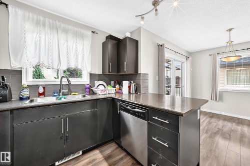 #21 8716 179 Av Nw, Edmonton, AB - Indoor Photo Showing Kitchen With Double Sink