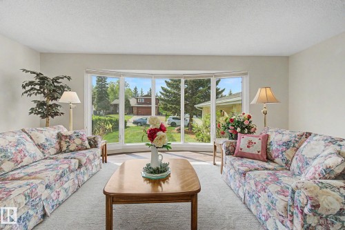 170 Westridge Rd, Edmonton, AB - Indoor Photo Showing Living Room