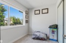Bright room featuring a large window, neutral carpet, light gray walls, white baseboards, and a white ceiling - 170 804 Welsh Drive, Edmonton, AB 