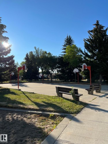 Outdoor recreational court featuring multiple basketball hoops, a concrete surface, and surrounding mature evergreen trees - 7923 94 Avenue Nw, Edmonton, AB 