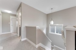 Staircase featuring a white wood handrail, light gray walls, and carpeted treads - 