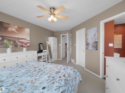 Carpeted room featuring a ceiling fan with light fixture, neutral wall color, and white trim - 