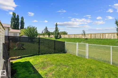 Expansive backyard with a manicured lawn, featuring a black privacy chain-link fence and a white chain-link fence with a gate - 31 Graywood Cove, Stony Plain, AB 