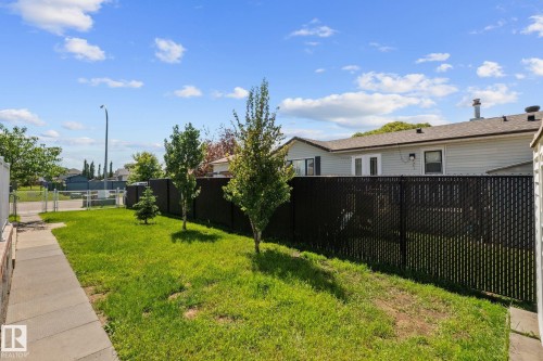 Expansive backyard featuring a green lawn, established trees, and a concrete pathway - 31 Graywood Cove, Stony Plain, AB 
