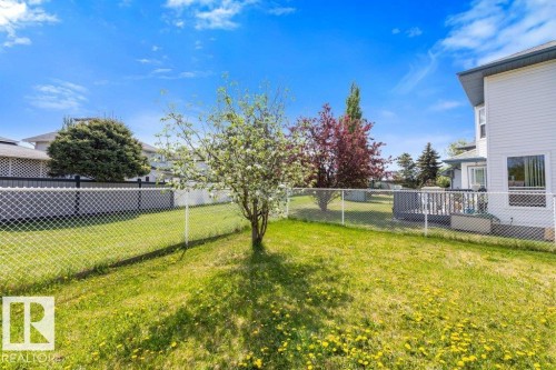 Generous backyard space featuring a mature tree, chain-link fencing, and a white siding exterior with dark trim - 1119 Potter Greens, Edmonton, AB - Outdoor