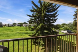 Balcony with metal railing overlooking a large green space and mature evergreen trees - 