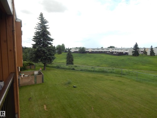 Expansive grassy area featuring mature evergreen trees and a sloped terrain - 204 4601 131 Avenue, Edmonton, AB 