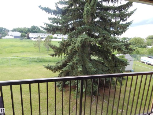Private balcony with black metal railing overlooking a large evergreen tree and expansive grassy area - 204 4601 131 Avenue, Edmonton, AB 