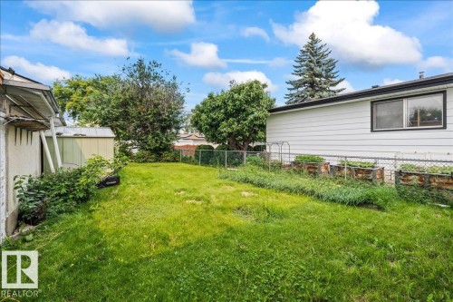 Expansive backyard featuring a green lawn, established trees, and a chain-link fence - 8736 72 Street Nw, Edmonton, AB - Outdoor