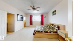 Spacious room featuring neutral carpeting, a ceiling fan with integrated lighting, and white walls - 