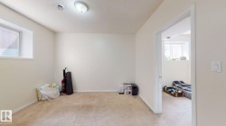 Carpeted room with light-toned walls and trim - 