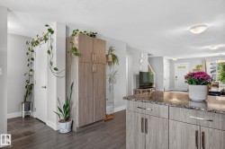 Kitchen island featuring a granite countertop and wood-finish cabinetry with silver-tone hardware - 