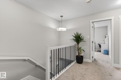Upper-level landing featuring light gray painted walls, a contemporary pendant light fixture, and carpeted flooring - 
