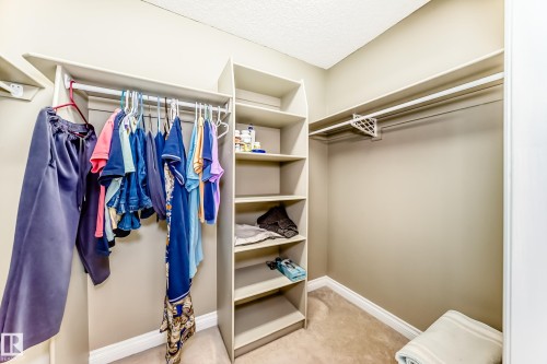 Walk-in closet featuring built-in shelving, integrated hanging rods, light-toned carpeting, and neutral wall finishes - 29 929 Picard Drive, Edmonton, AB - Indoor With Storage