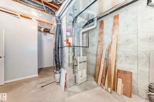 29 929 Picard Drive, Edmonton, AB - Indoor Photo Showing Basement