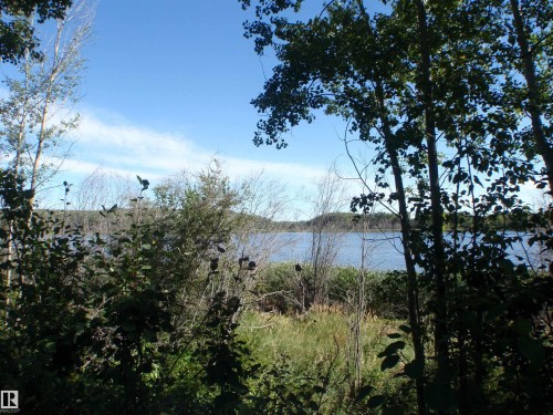 Waterfront landscape featuring dense foliage and a broad expanse of water under a clear sky - Rge Rd 62, Rural Barrhead County, AB 
