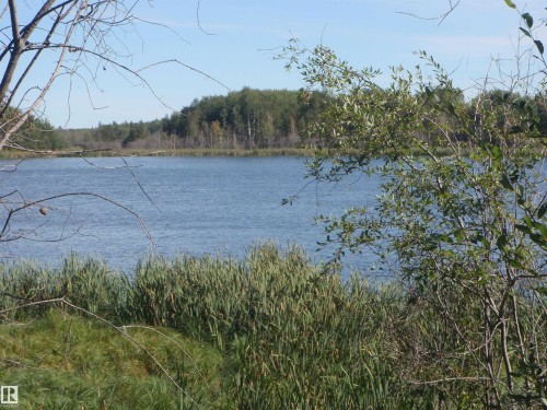 Expansive waterfront featuring a calm body of water, dense shoreline vegetation, and a distant treeline - Rge Rd 62, Rural Barrhead County, AB 
