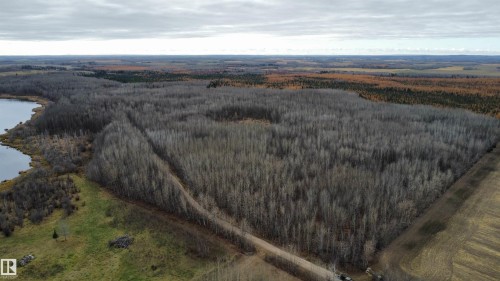 Expansive land parcel featuring diverse tree coverage - Rge Rd 62, Rural Barrhead County, AB 