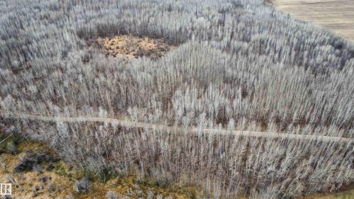 Wooded acreage featuring a natural path - Rge Rd 62, Rural Barrhead County, AB 
