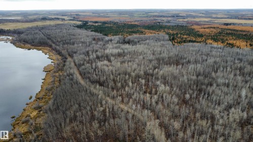 Expansive wooded land featuring a diverse tree canopy with a visible path - Rge Rd 62, Rural Barrhead County, AB 