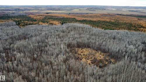 Expansive forested landscape featuring deciduous and coniferous tree stands - Rge Rd 62, Rural Barrhead County, AB 