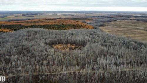 Expansive land parcel featuring diverse tree coverage and open field areas - Rge Rd 62, Rural Barrhead County, AB 