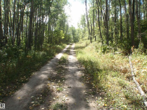 Gravel pathway enveloped by mature deciduous trees and natural vegetation - Rge Rd 62, Rural Barrhead County, AB 