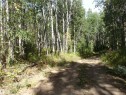 View of street - Rge Rd 62, Rural Barrhead County, AB 