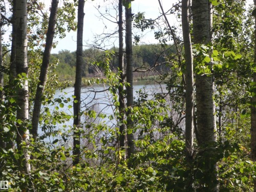 Mature trees framing a body of water - Rge Rd 62, Rural Barrhead County, AB 