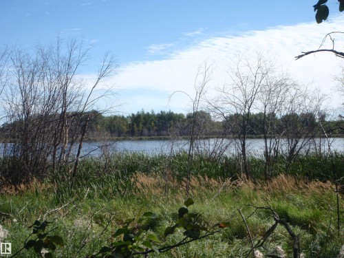 Natural landscape featuring a body of water, distant tree line, and foreground foliage - Rge Rd 62, Rural Barrhead County, AB 