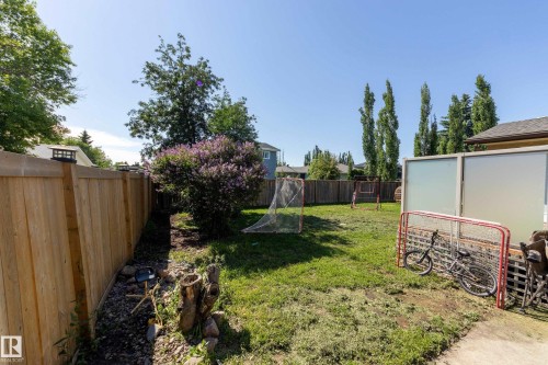 Spacious backyard featuring a new wood fence, mature landscaping, and a privacy screen - 17328 106 Street, Edmonton, AB 