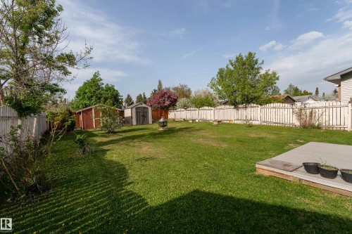 Expansive green lawn featuring a concrete patio, wood privacy fencing, mature trees, and two storage sheds - 4620 37A Avenue, Edmonton, AB - Outdoor With Backyard