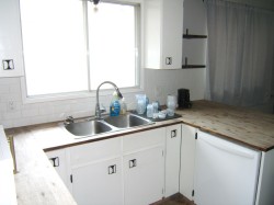 Kitchen area featuring a double basin stainless steel sink with a gooseneck faucet - 